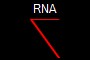 RNA